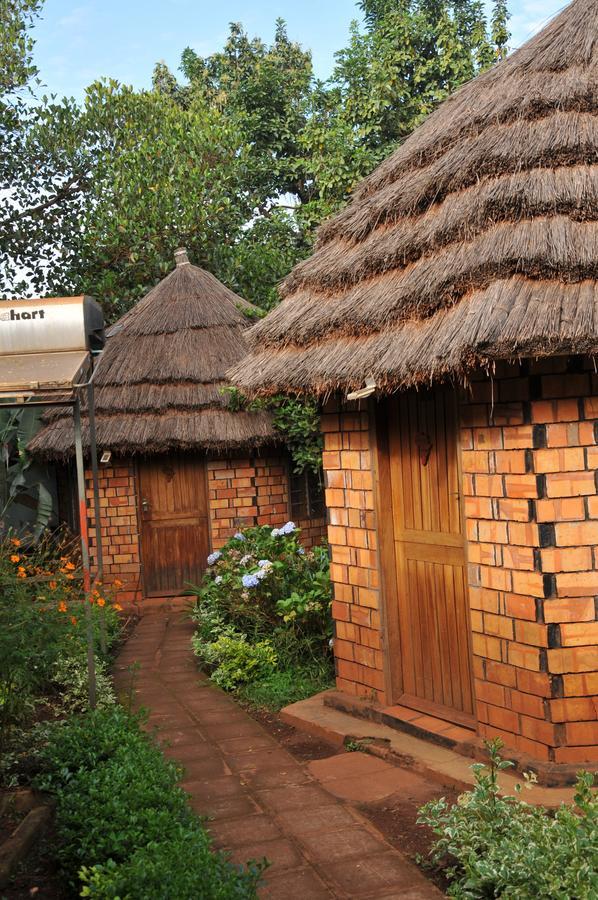 New Court View Hotel Masindi Exterior foto